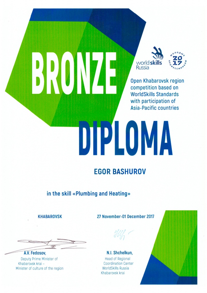 Башуров международный диплом.jpg